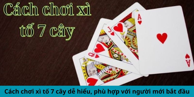 Cách chơi xì tố 7 cây dễ hiểu, thích hợp cho tân thủ mới chơi