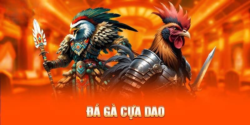 Đá gà cựa dao thu hút số lượng lớn người tham gia