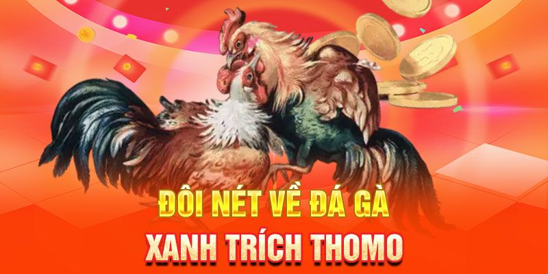 Sơ lược thông tin về hình thức đá gà Thomo