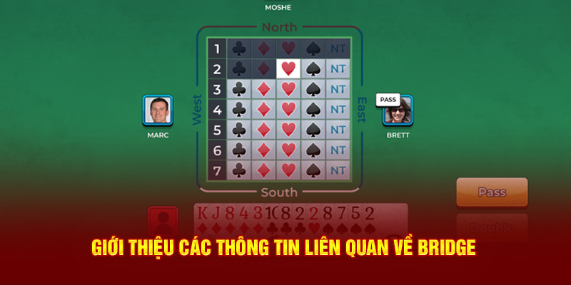 Giới thiệu các thông tin liên quan về bridge