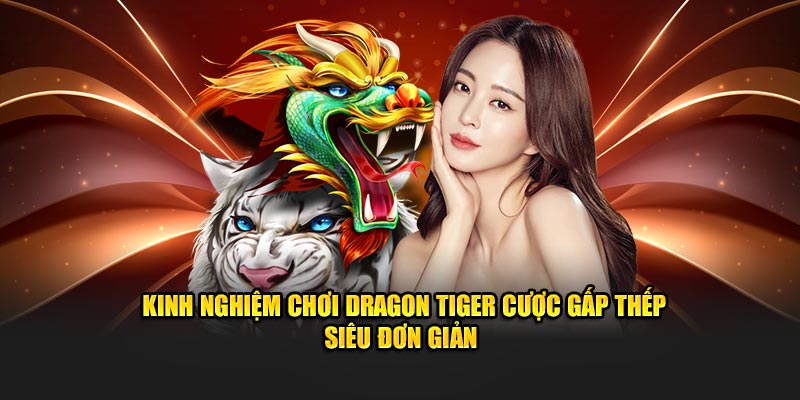 Kinh nghiệm chơi Dragon Tiger cược gấp thếp siêu đơn giản 